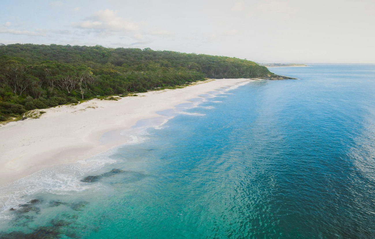 White sand and clear water along the forested Jervis Bay shore