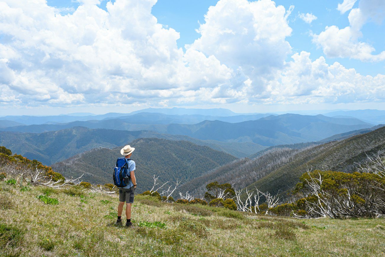 A hiker looking over layered Victorian alpine ridges