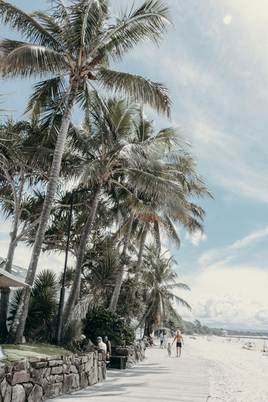 Palms beside a path leading toward the beach at Noosa