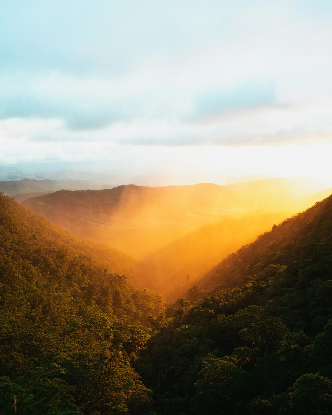 Sunlight falling across forested Lamington valleys