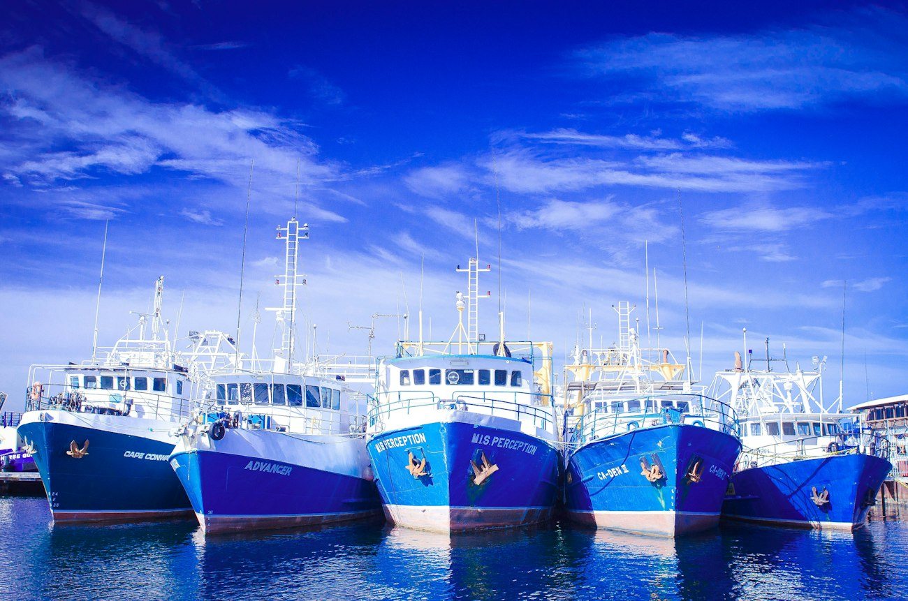 Blue fishing boats moored side by side in Fremantle