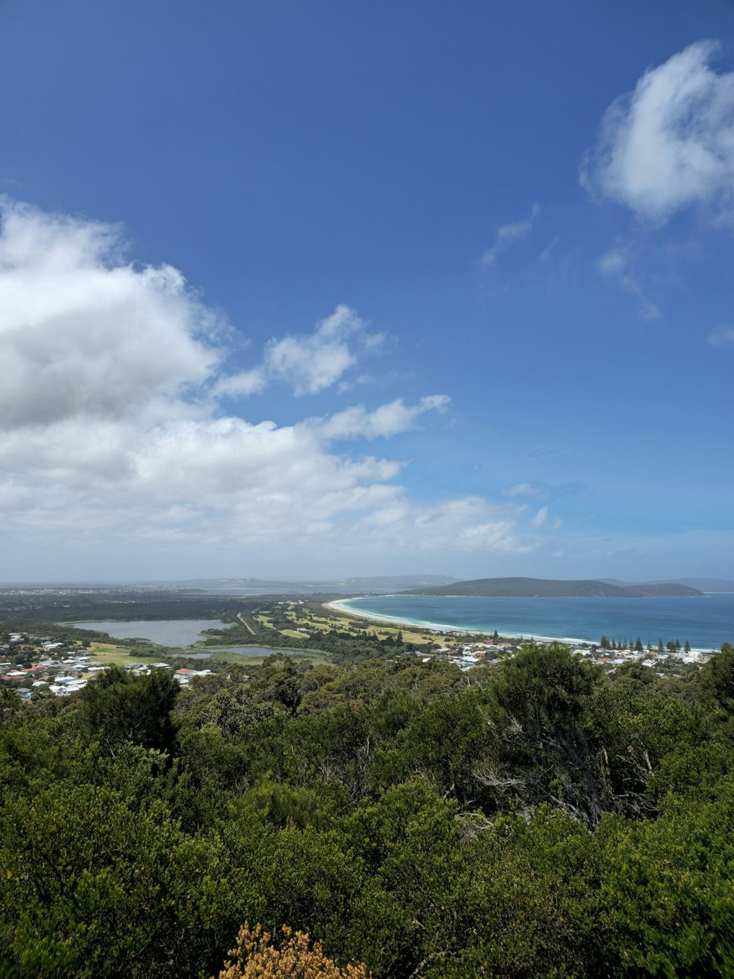 Coastal scrub and distant surf near Albany