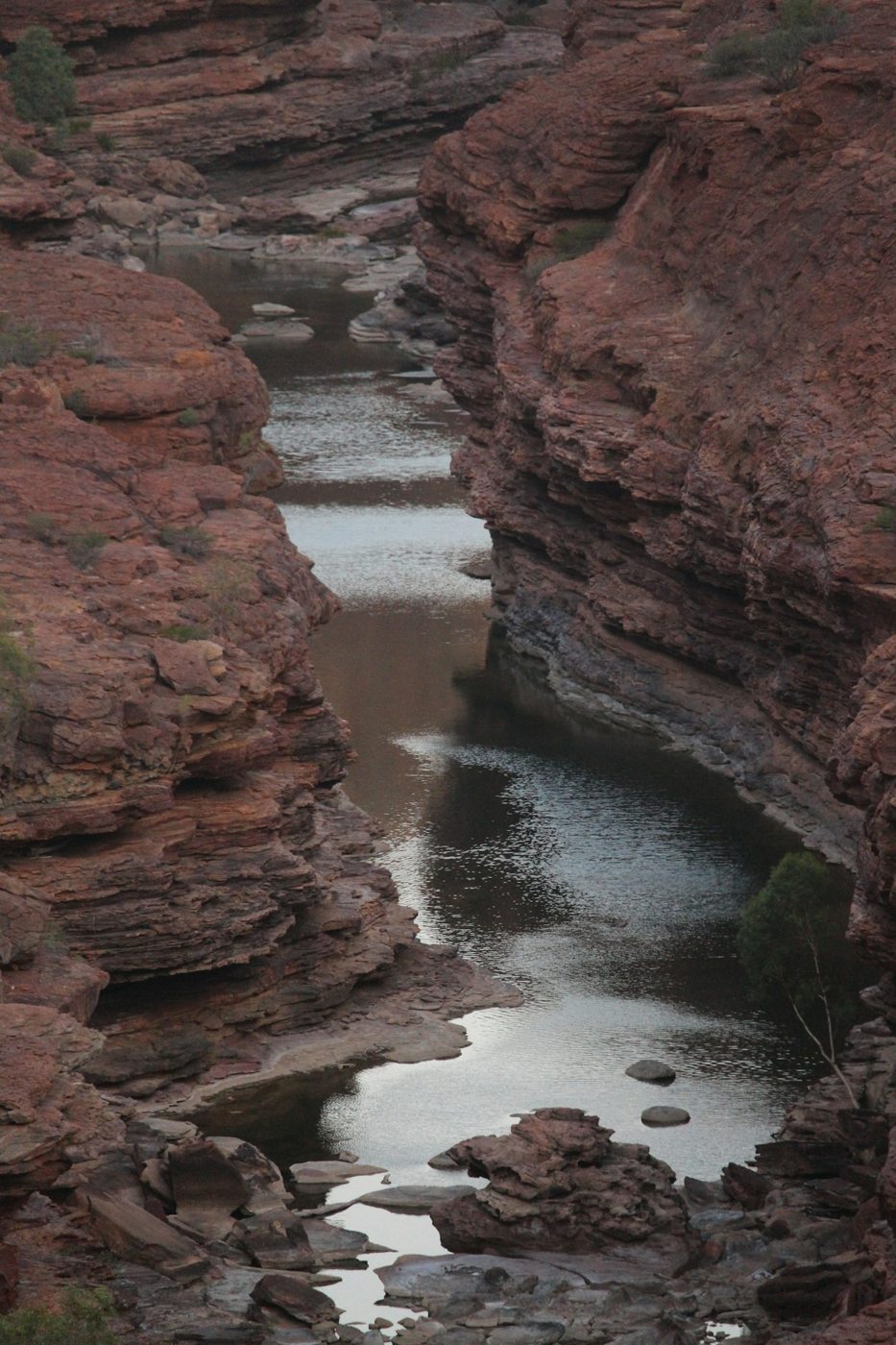 A river flowing between red rock walls in Kalbarri