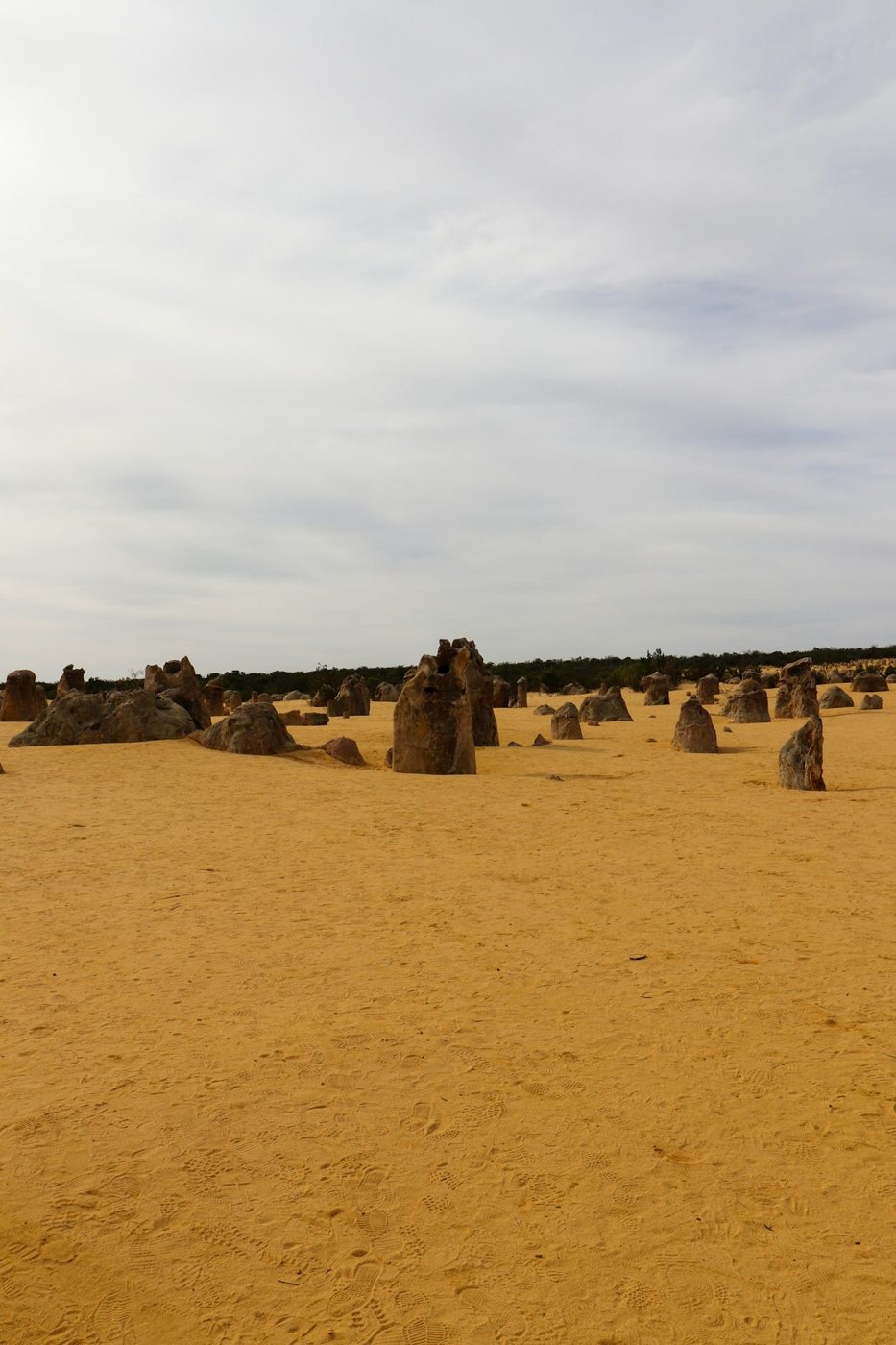 Limestone pinnacles rising from a sandy desert