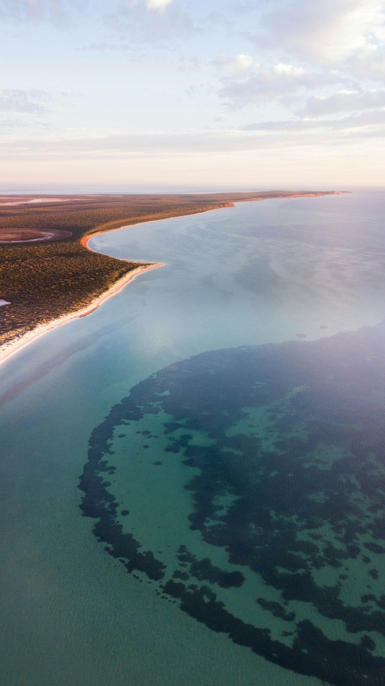 Shallow water and a long shoreline in Shark Bay