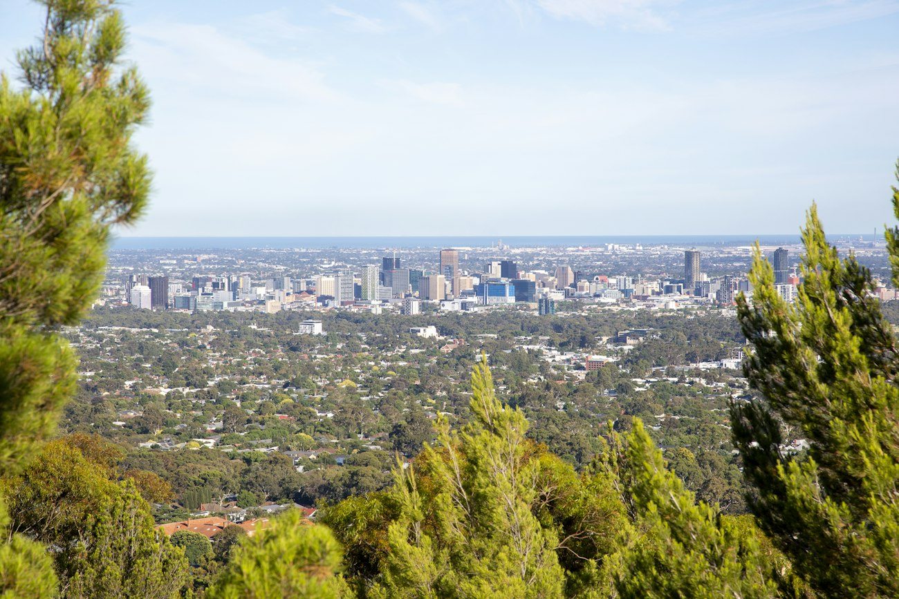 Adelaide's skyline beyond wooded hills