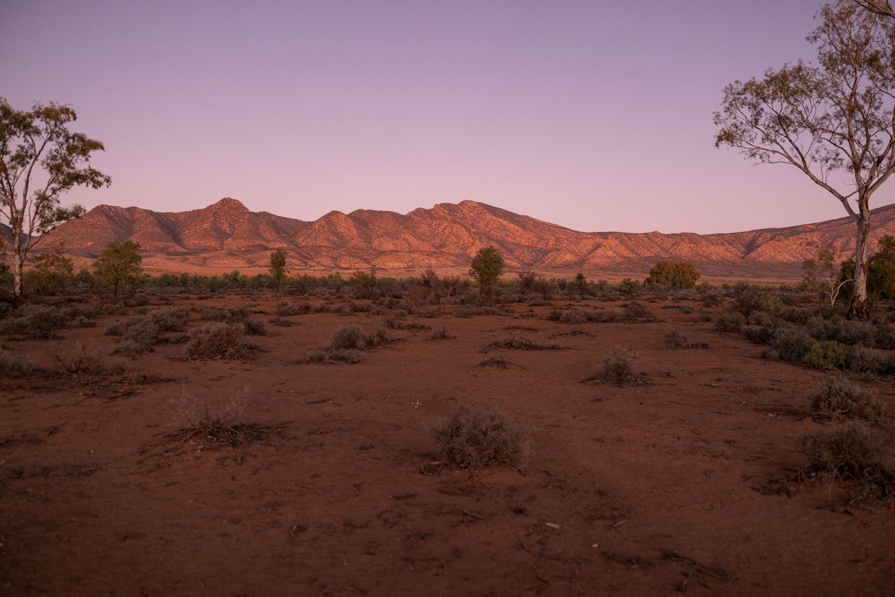 Flinders Ranges peaks in warm light across open scrubland