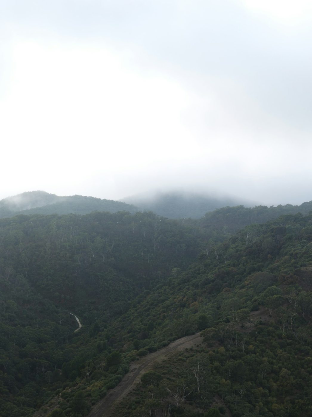 Low cloud hanging above green Adelaide Hills valleys