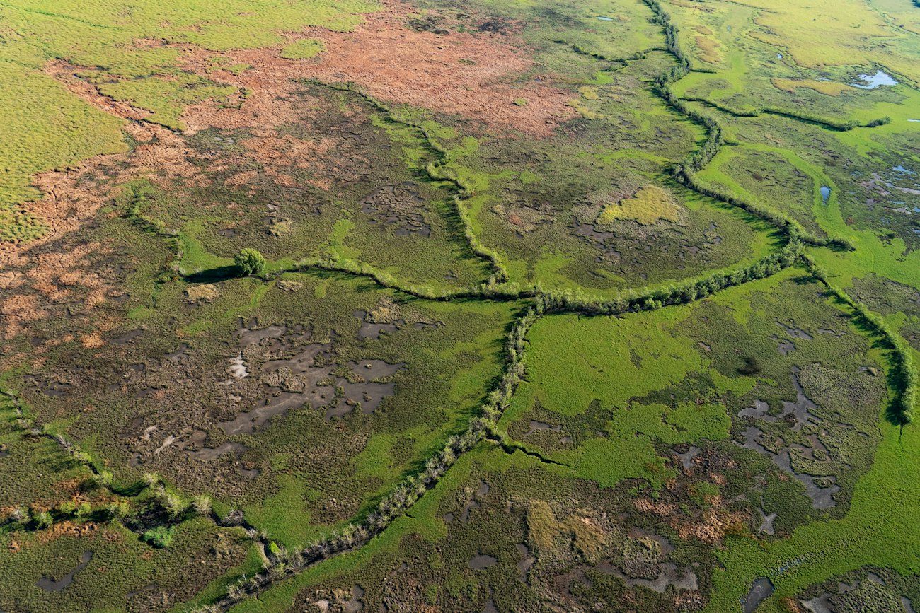 Green Kakadu floodplains and winding channels from above