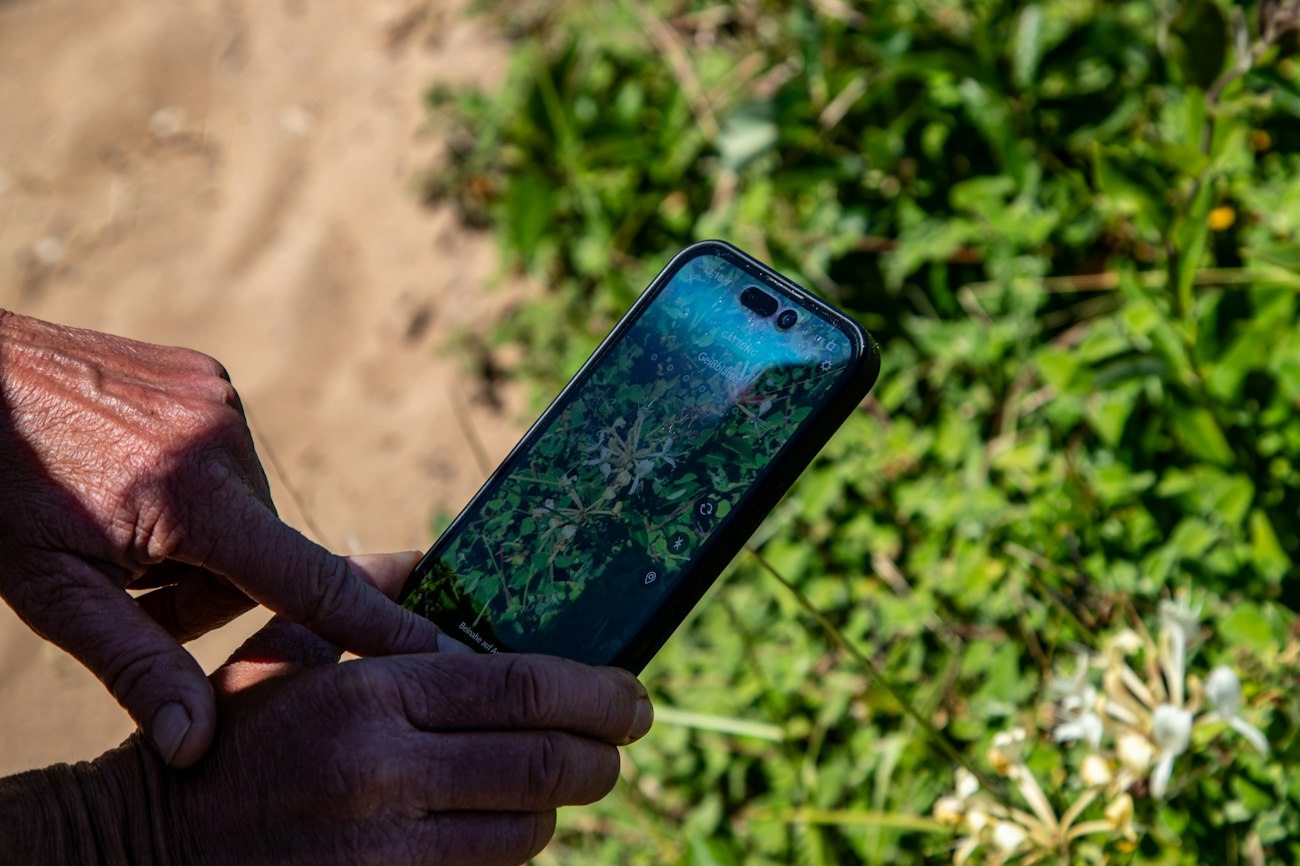 A person checking a satellite map on a phone outdoors